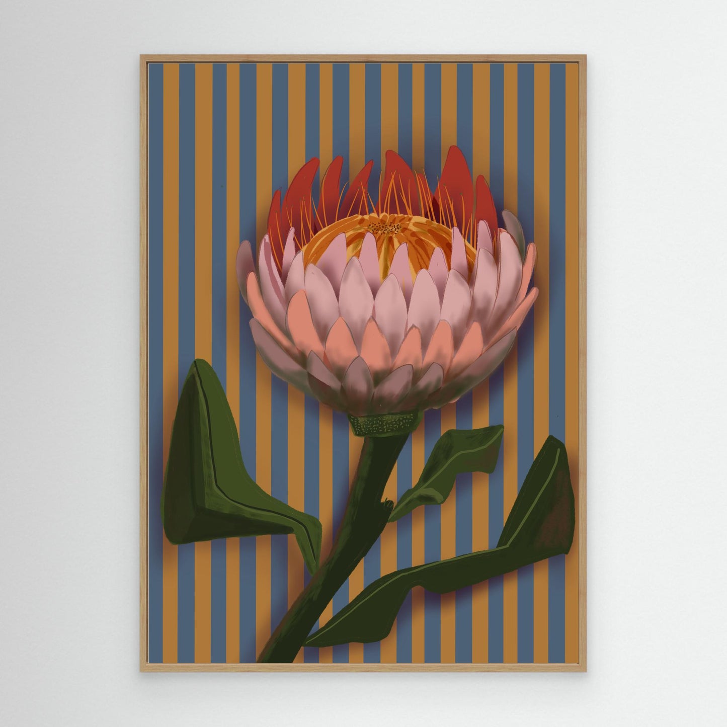 Giant King Protea #2 - gallery style print , oak or black floating frame 