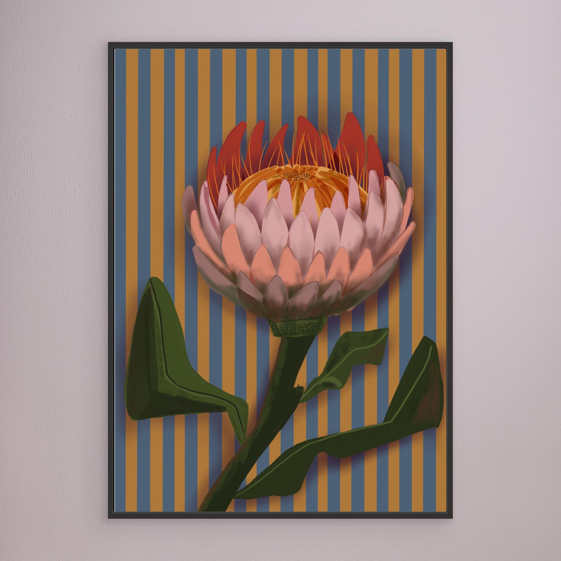 Giant King Protea #2 - gallery style print , oak or black floating frame 