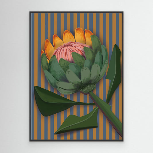 Giant King Protea 1 - gallery style print , oak or black floating frame