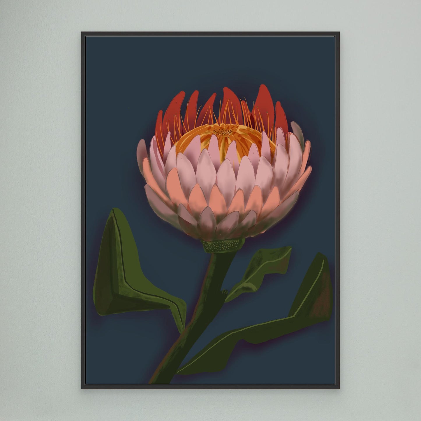 Giant King Protea #2 - gallery style print , oak or black floating frame