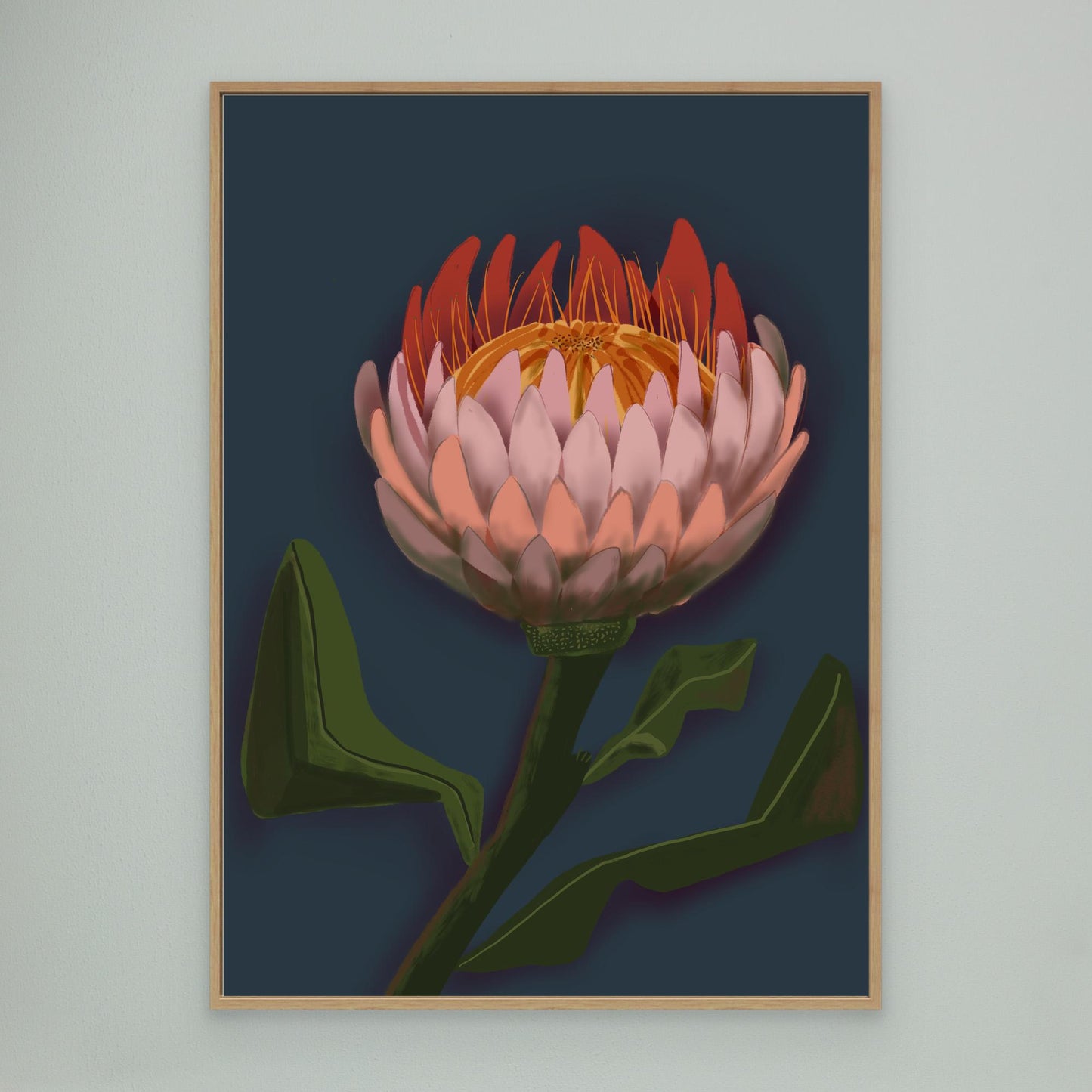 Giant King Protea #2 - gallery style print , oak or black floating frame