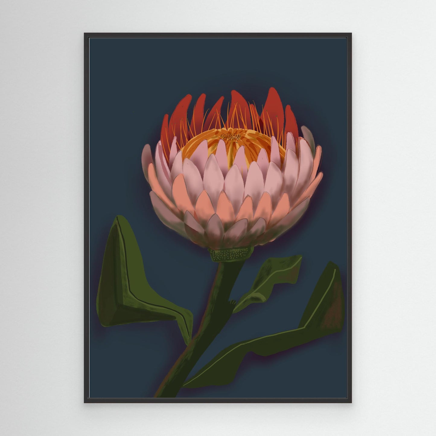 Giant King Protea #2 - gallery style print , oak or black floating frame