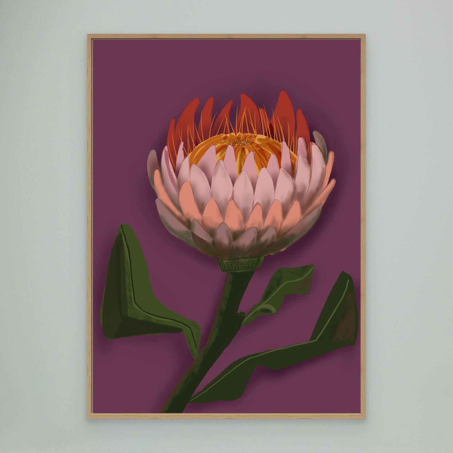 Giant King Protea #2 - gallery style print , oak or black floating frame