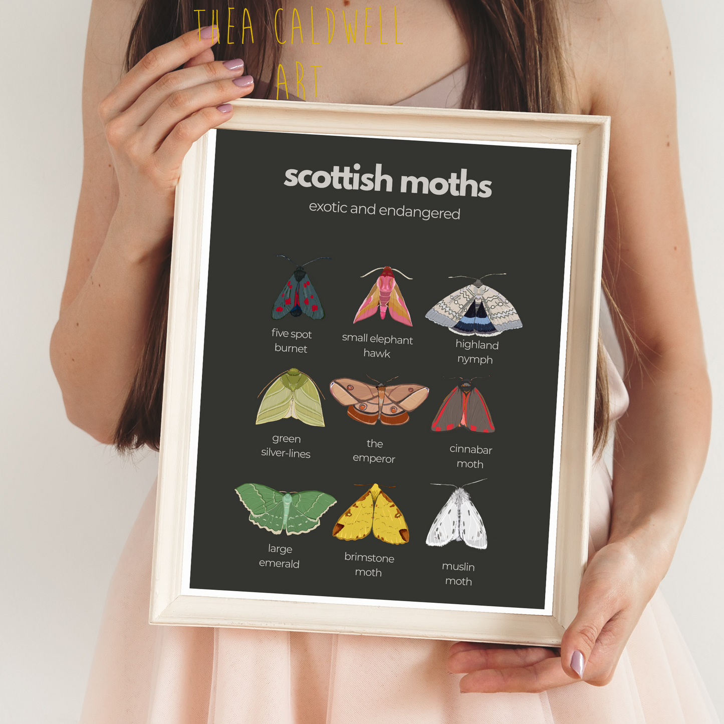 A3 “ Scottish Moths “ exotic and endangered- Scottish wildlife and nature- unframed, white background, high quality card print.