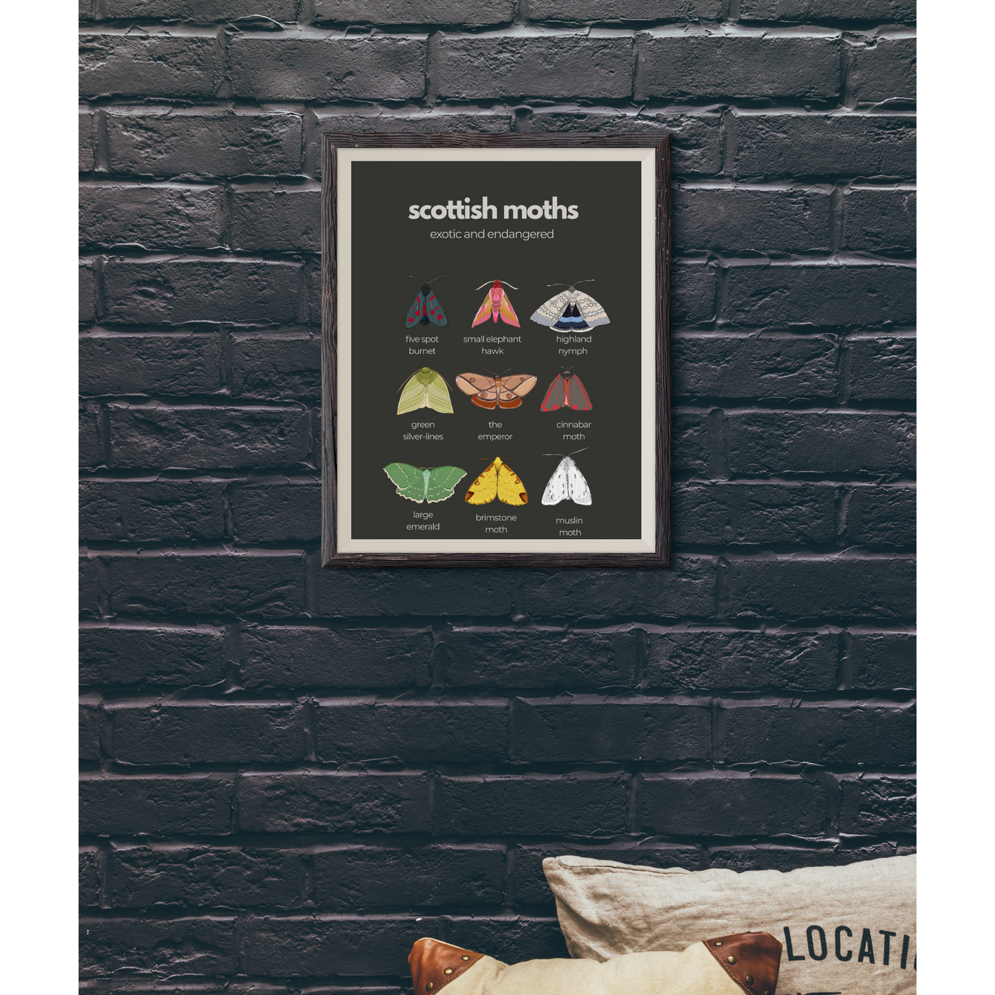 A3 “ Scottish Moths “ exotic and endangered- Scottish wildlife and nature- unframed, white background, high quality card print.