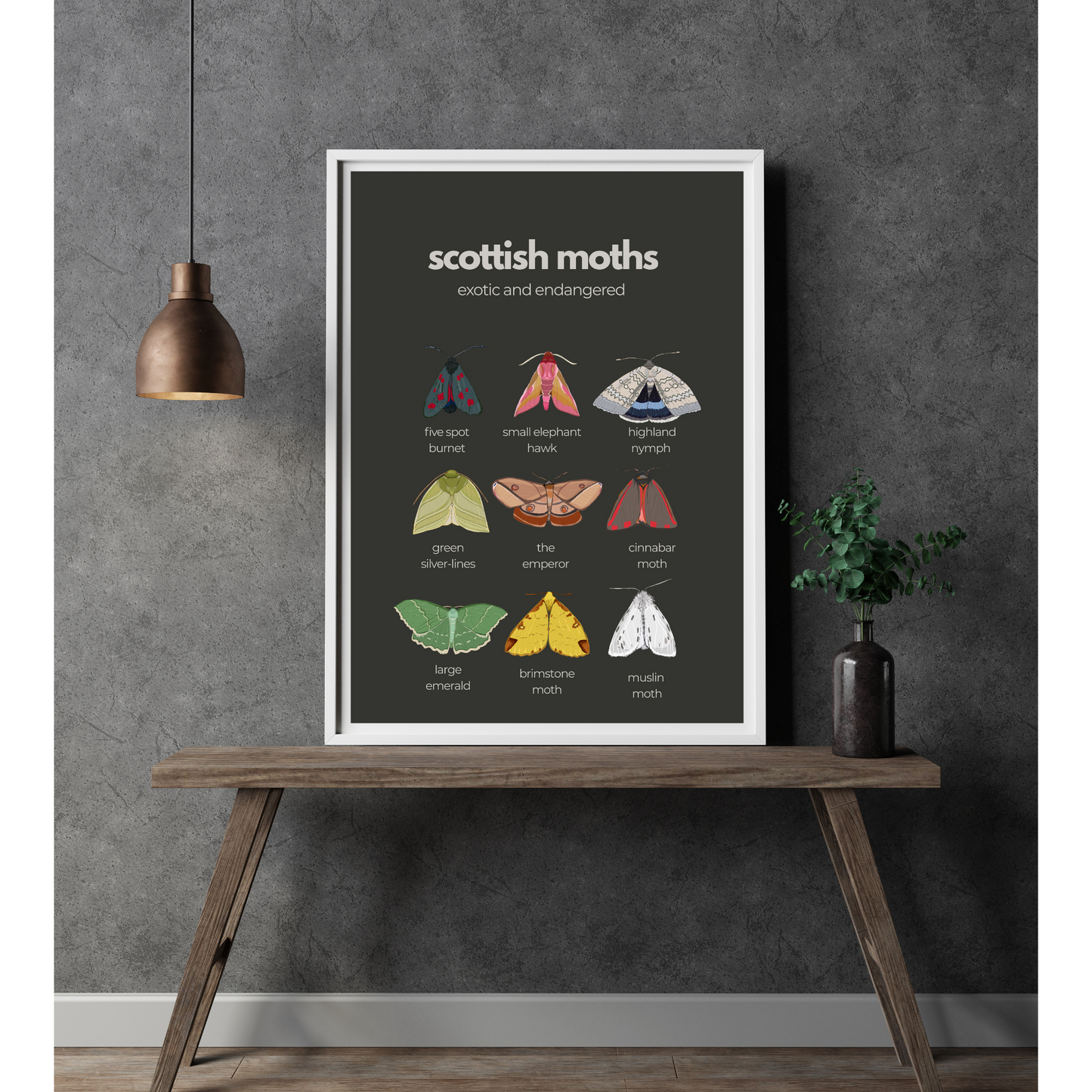 A3 “ Scottish Moths “ exotic and endangered- Scottish wildlife and nature- unframed, white background, high quality card print.