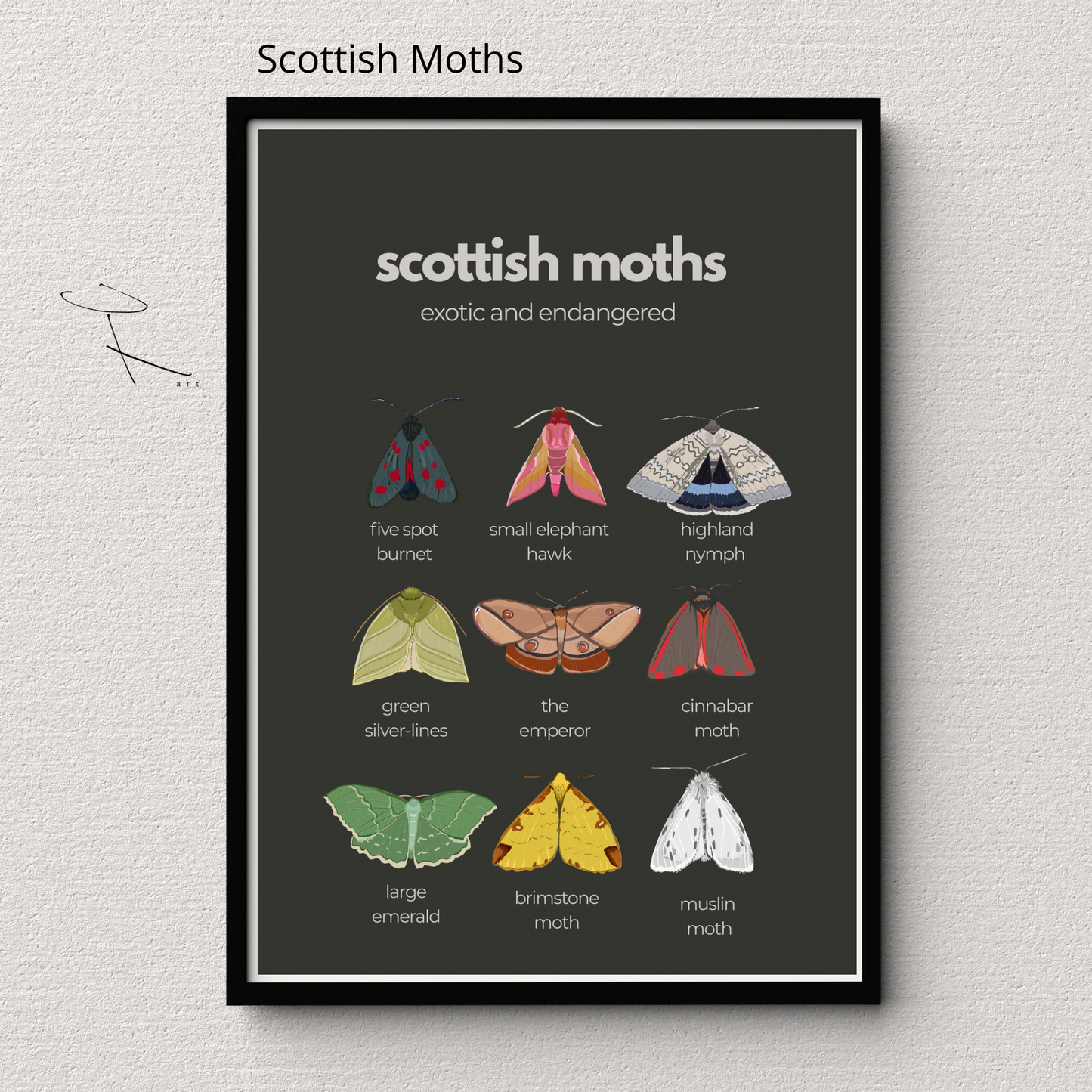 A3 “ Scottish Moths “ exotic and endangered- Scottish wildlife and nature- unframed, white background, high quality card print.