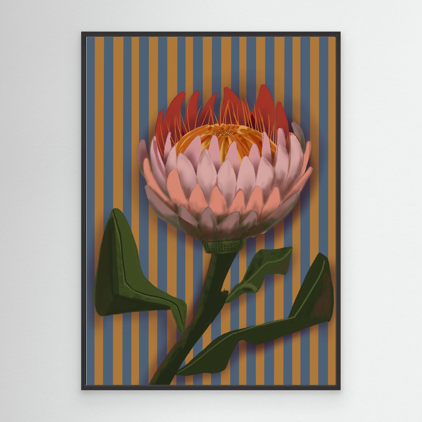 Giant King Protea #2 - gallery style print , oak or black floating frame 