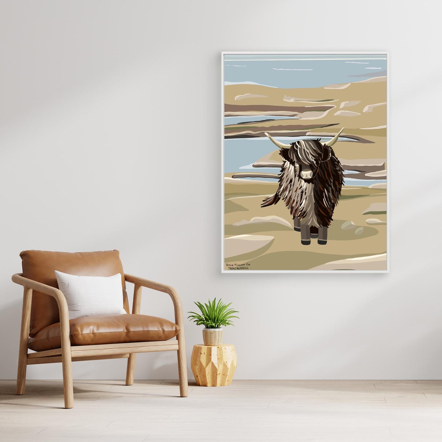 Black Highland Coo, Scotland - large size canvas prints